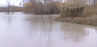 Fiume Ofanto, fra pericolo piena e nessuna manutenzione