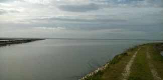 Salina, serbatoio di biodiversità più grande d’Italia