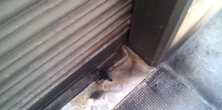 Principio d’incendio davanti abitazione sindaco Marrano