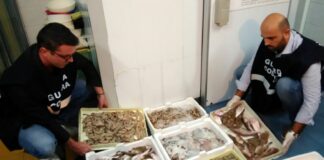 Guardia Costiera sequestra 500 chili di prodotti ittici