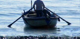 Fermo pesca aggiuntivo, Mennea: «Saranno riaperti i termini per accedere agli aiuti 2019»