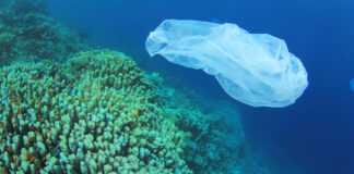 “Se butti male… Finisce in mare!”, al via la 2^ edizione del progetto educativo di Legambiente e Corepla