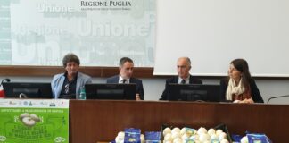La Regione Puglia ospita la conferenza stampa di presentazione la Festa della Cipolla Bianca IGP