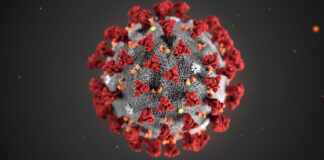 Sospetto caso di Coronavirus nella BAT: le analisi scongiurano il pericolo