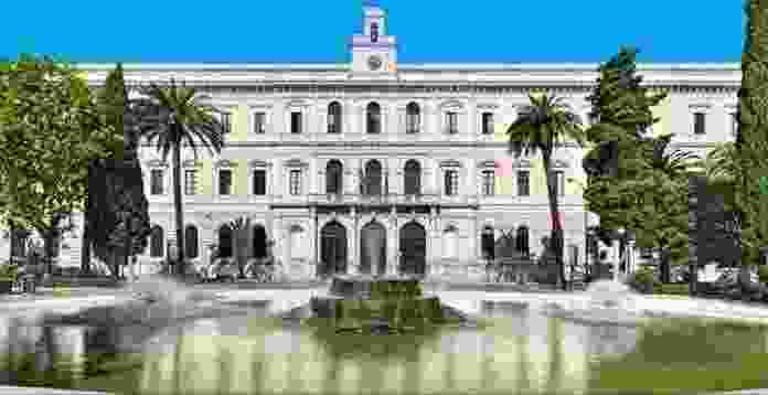università