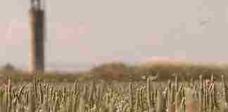 Il “Cammino del Sale” ed i 16 chilometri sulle orme della teleferica tra Margherita e Barletta