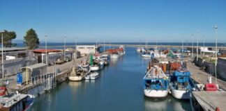 Diverse novità in arrivo per i pescatori di Margherita di Savoia