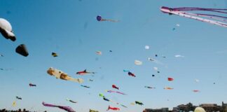 Pesca della seppia: a Margherita è il giorno della “spartizione del mare”