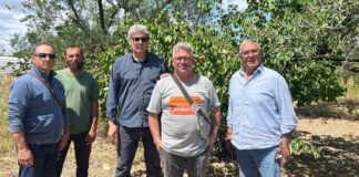 Stop irrigazione in zona Ofanto, gli agricoltori non ci stanno: «Presenteremo esposto in Procura»