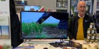 La Cipolla Bianca di Margherita Igp conquista Fruit Logistica e i mercati