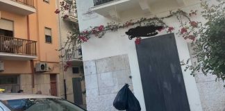 Abbandono rifiuti, il sindaco Lodispoto: «Ad agosto incremento dei casi e delle sanzioni»